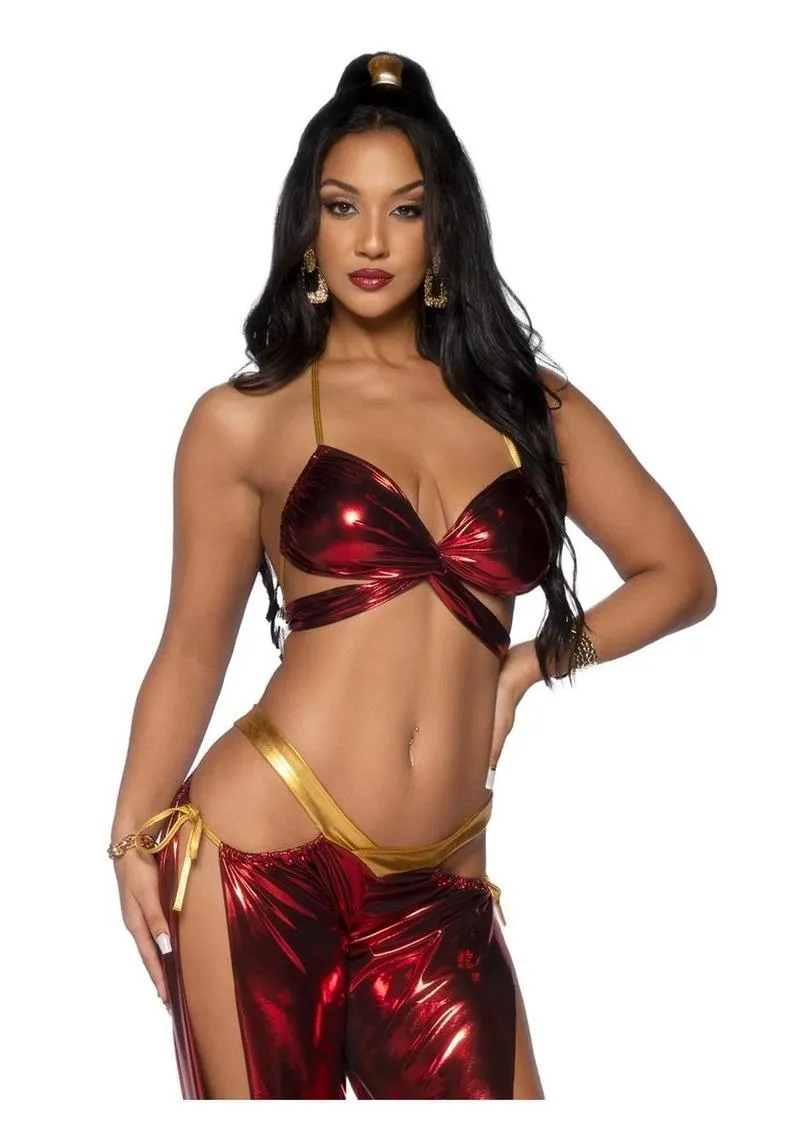 Leg Avenue Ruby Desert Princess Lame Bikini Top and Split Leg Cut-Out Harem Pants with Side Ties