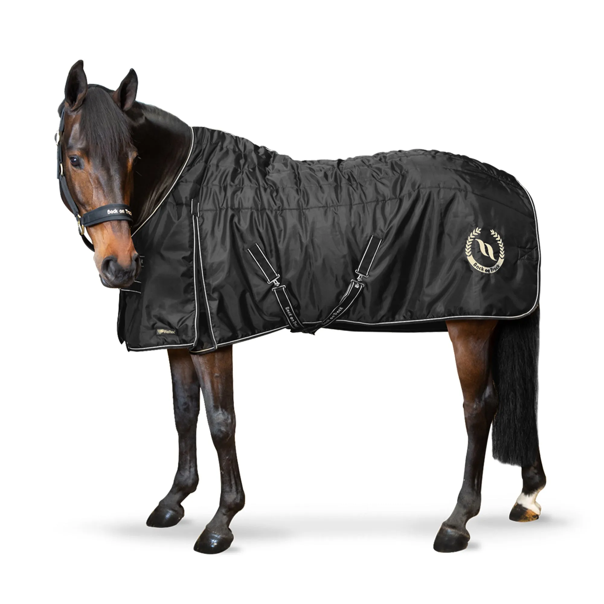 Millie Horse Stable Blanket